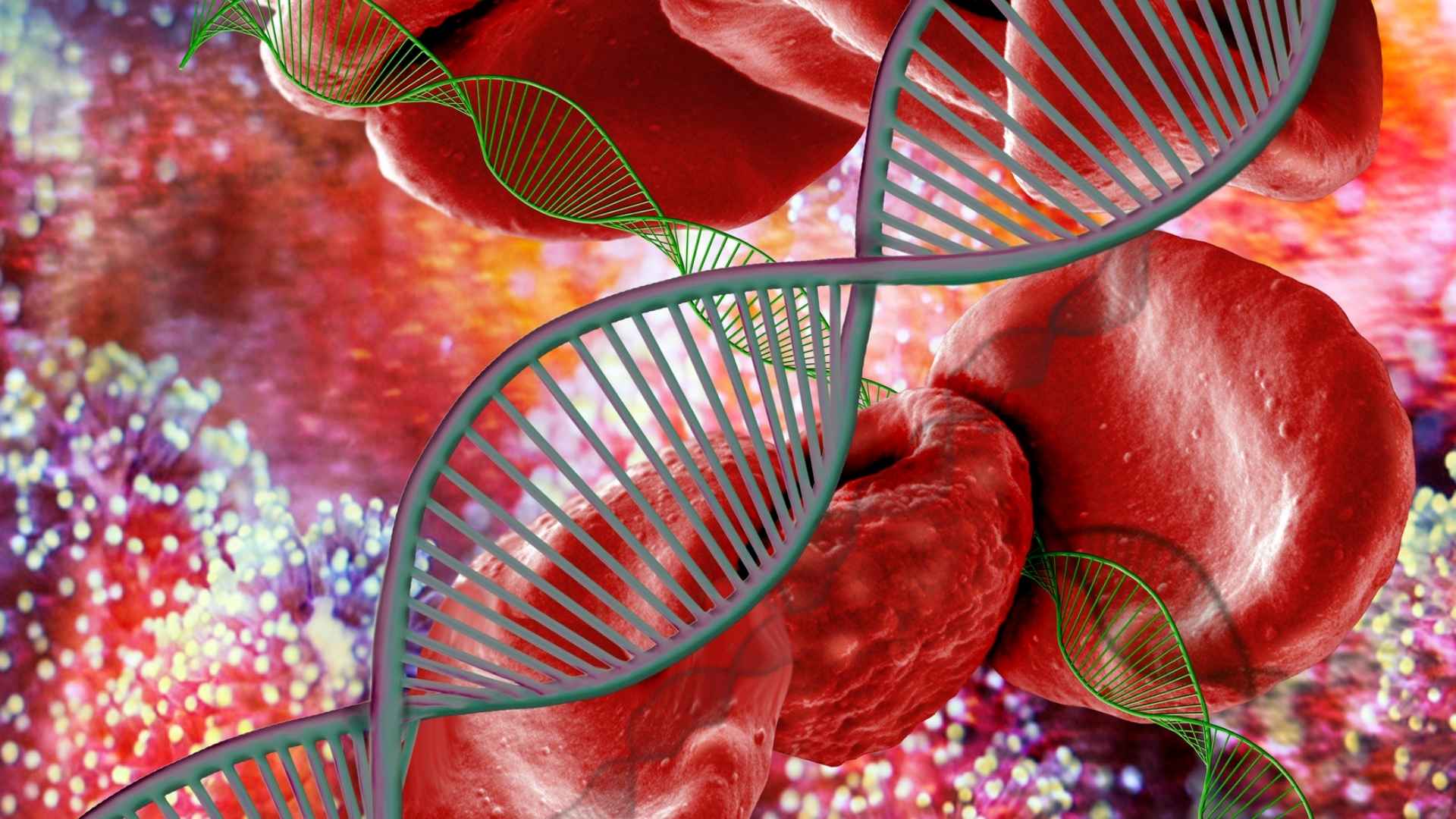 cell based assay