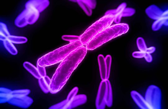 Geneyx Analysis – How to Use AI To Diagnose Genetic Conditions2
