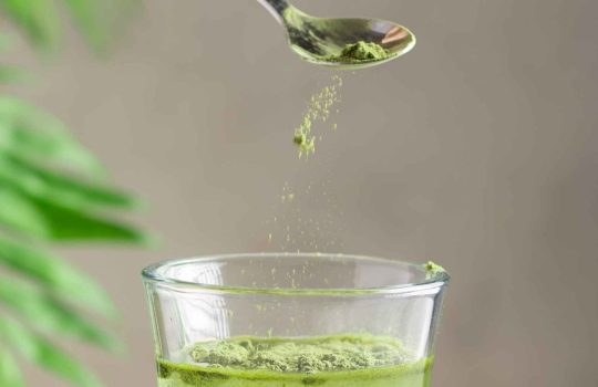 green superfood powder2