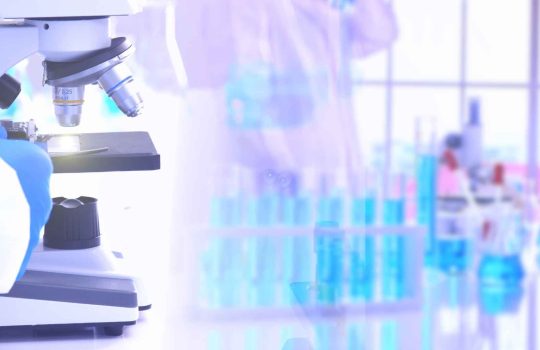 שירותי כיול2